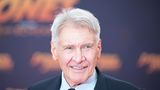 Hollywood-Star Harrison Ford, 82, will bei der US-Präsidentschaftswahl für die Demokratin Kamala Harris stimmen. Das sagt der Schauspieler in einem Video, das die Harris-Kampagne auf der Plattform X veröffentlichte. "Die Wahrheit ist: Kamala Harris wird Ihr Recht schützen, in politischen Fragen und Ideen anderer Meinung zu sein als sie", wirbt der aus Filmreihen wie "Indiana Jones" und "Star Wars" bekannte Ford in dem Clip. Selbst Mitglieder der früheren Regierung von Donald Trump warnen inzwischen davor, den Republikaner noch einmal zu wählen.