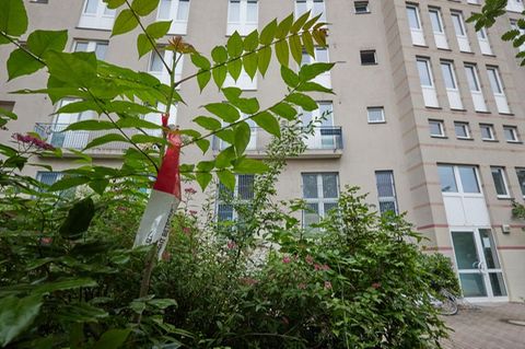 Ein Hochhaus in Berlin-Altglienicke