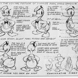 Standards für die Zeichnungen von Donald Duck