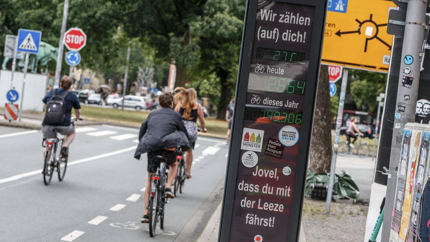 Hammer Straße, Münster