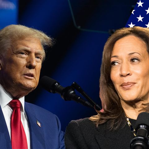 Harris und Trump: US WAHL