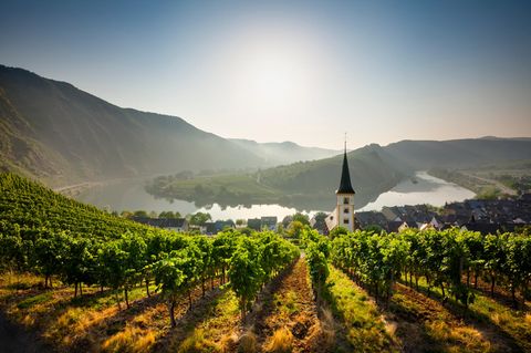 Glücksatlas: Rheinland-Pfalz