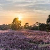 Glücksatlas: Niedersachsen