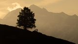 Berglandschaft auf der ein Mann mit seinem Hund als Schattenriss steht
