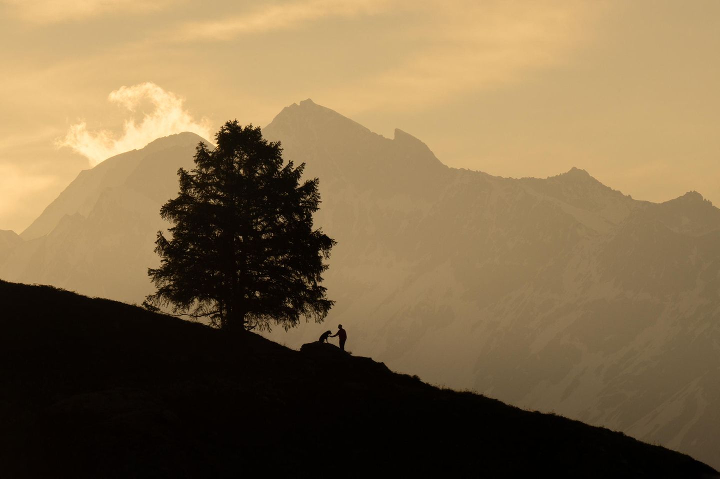 Berglandschaft auf der ein Mann mit seinem Hund als Schattenriss steht