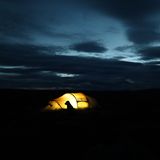 Der Schattenriss eines Hundes