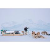 Huskies und ein Schlittenführer in einem verschneiten Gebiet