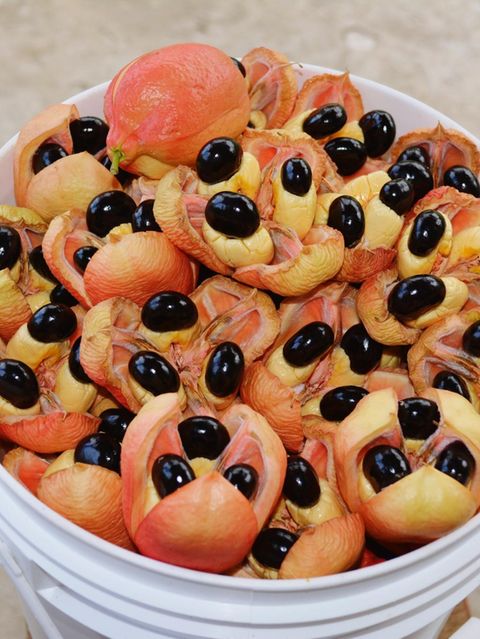 Gefährliche Lebensmittel: Akee