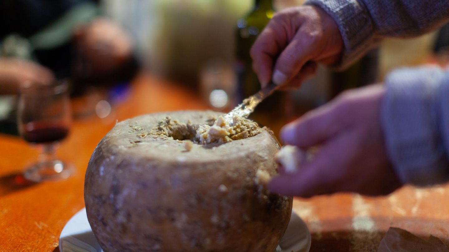 Gefährliche Lebensmittel: Casu Marzu