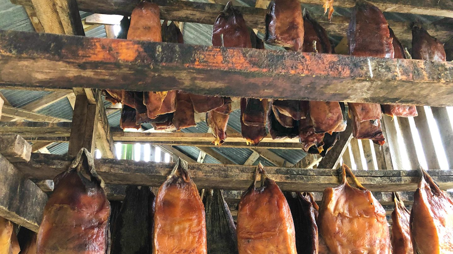 Gefährliche Lebensmittel: Hákarl