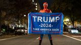Dieser Spiderman dürfte mit dem Wahlausgang in den USA höchst zufrieden sein