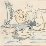 Donald Duck schaut einem seine Neffen tief in die Augen