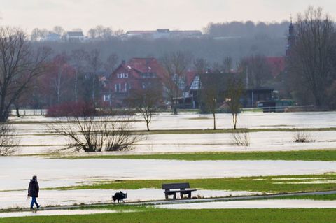 Der Bund fördert das Projekt mit 4,13 Millionen Euro. (Symbolbild) Foto: Andreas Arnold/dpa