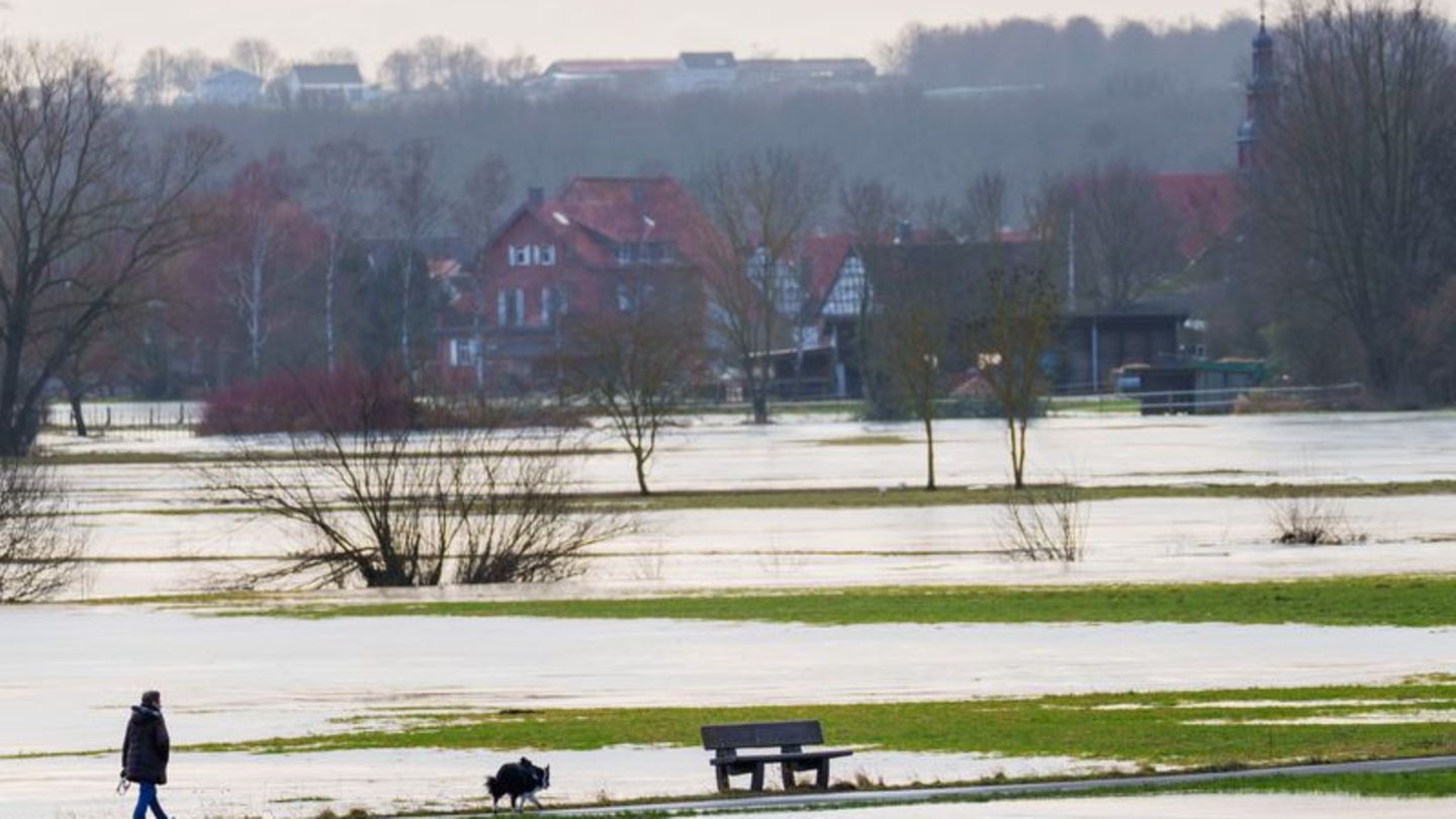 Der Bund fördert das Projekt mit 4,13 Millionen Euro. (Symbolbild) Foto: Andreas Arnold/dpa