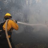 Ein Feuerwehrmann kämpft gegen die Flammen des "Mountain Fire". Bislang ist nur ein kleiner Teil des Waldbrands unter Kontrolle