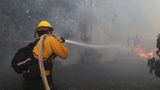 Ein Feuerwehrmann kämpft gegen die Flammen des "Mountain Fire". Bislang ist nur ein kleiner Teil des Waldbrands unter Kontrolle