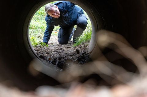 Bei einer Wanderung zum 35. Jahrestag des Mauerfalls kriecht Thüringens geschäftsführender Ministerpräsident Bodo Ramelow (Linke