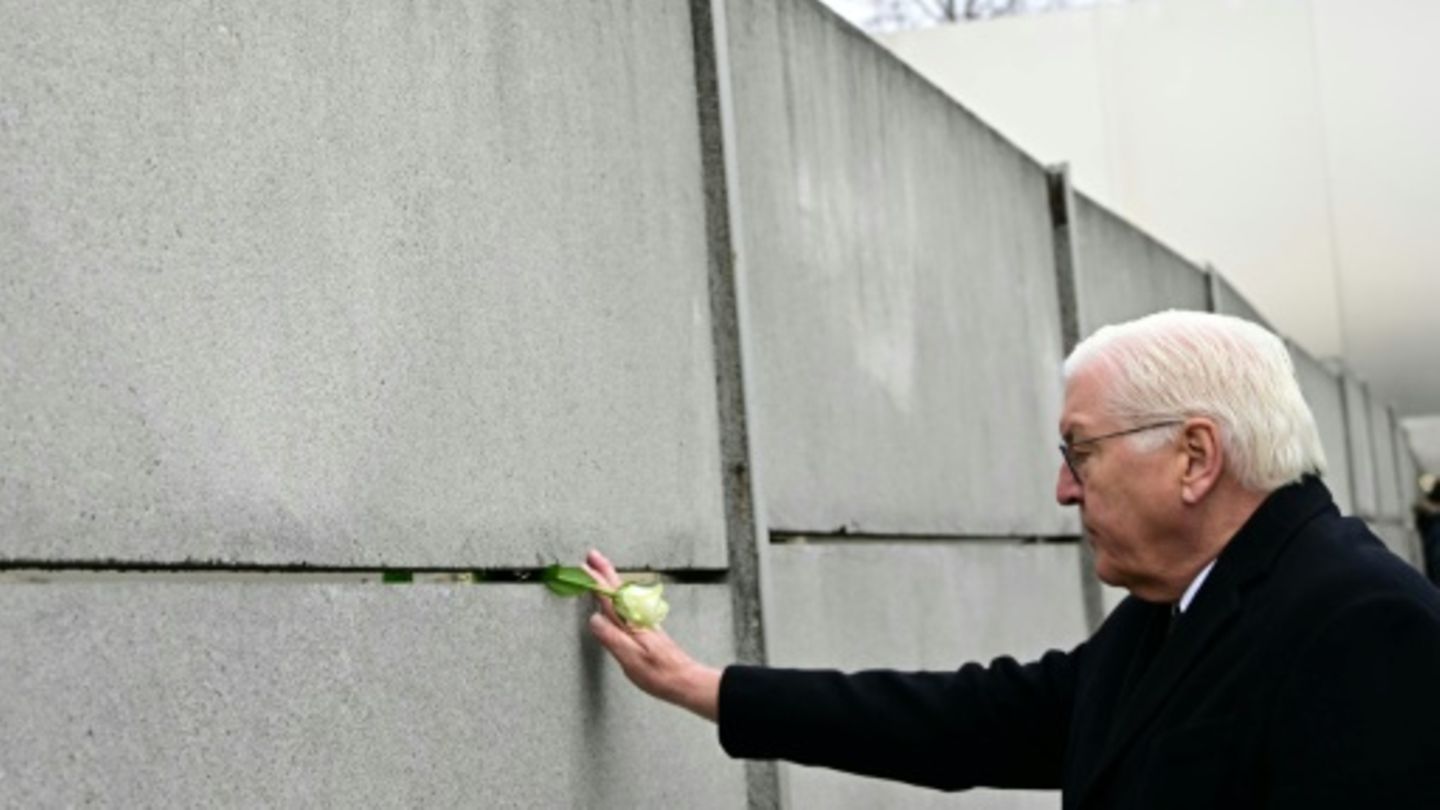 Steinmeier in Berlin