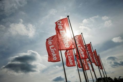 Fahnen der Linken