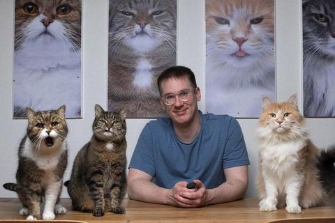 Katzen-Fotograf Nils Jacobi und drei seiner tierischen Models