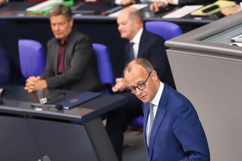 Friedrich Merz im Bundestag