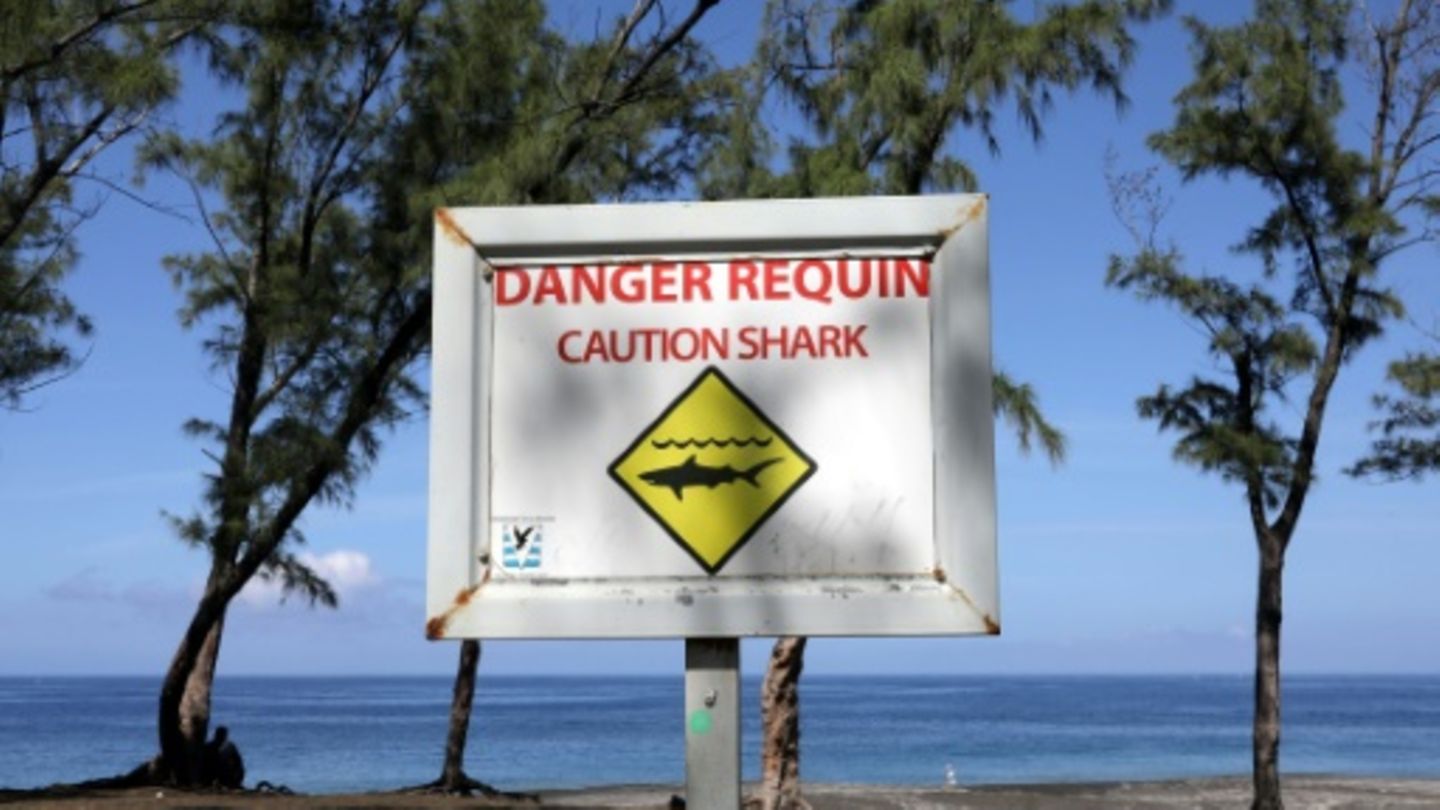 Hai-Warnung auf La Réunion