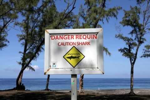 Hai-Warnung auf La Réunion
