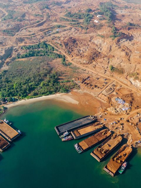 Ein Rest Wald, drum herum eine Mondlandschaft