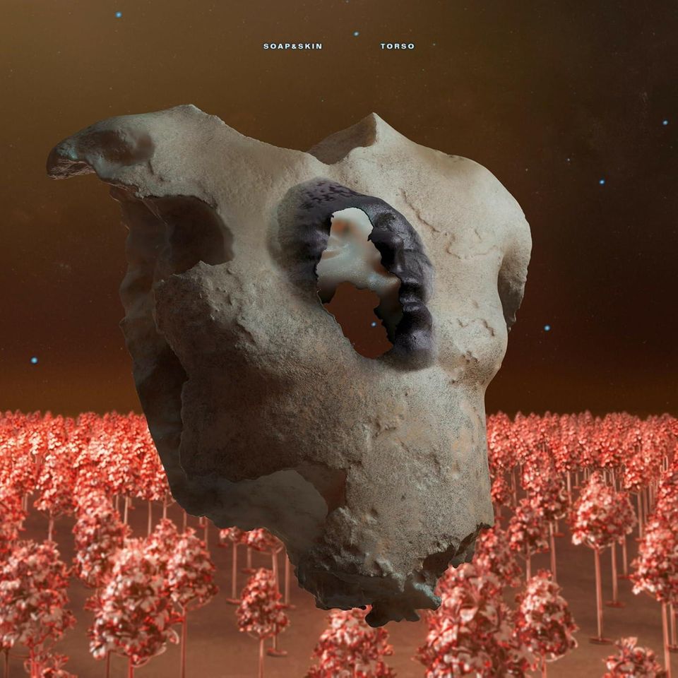 Couverture de l'album TORSO de Anja Plaschg alias Soap&Skin
