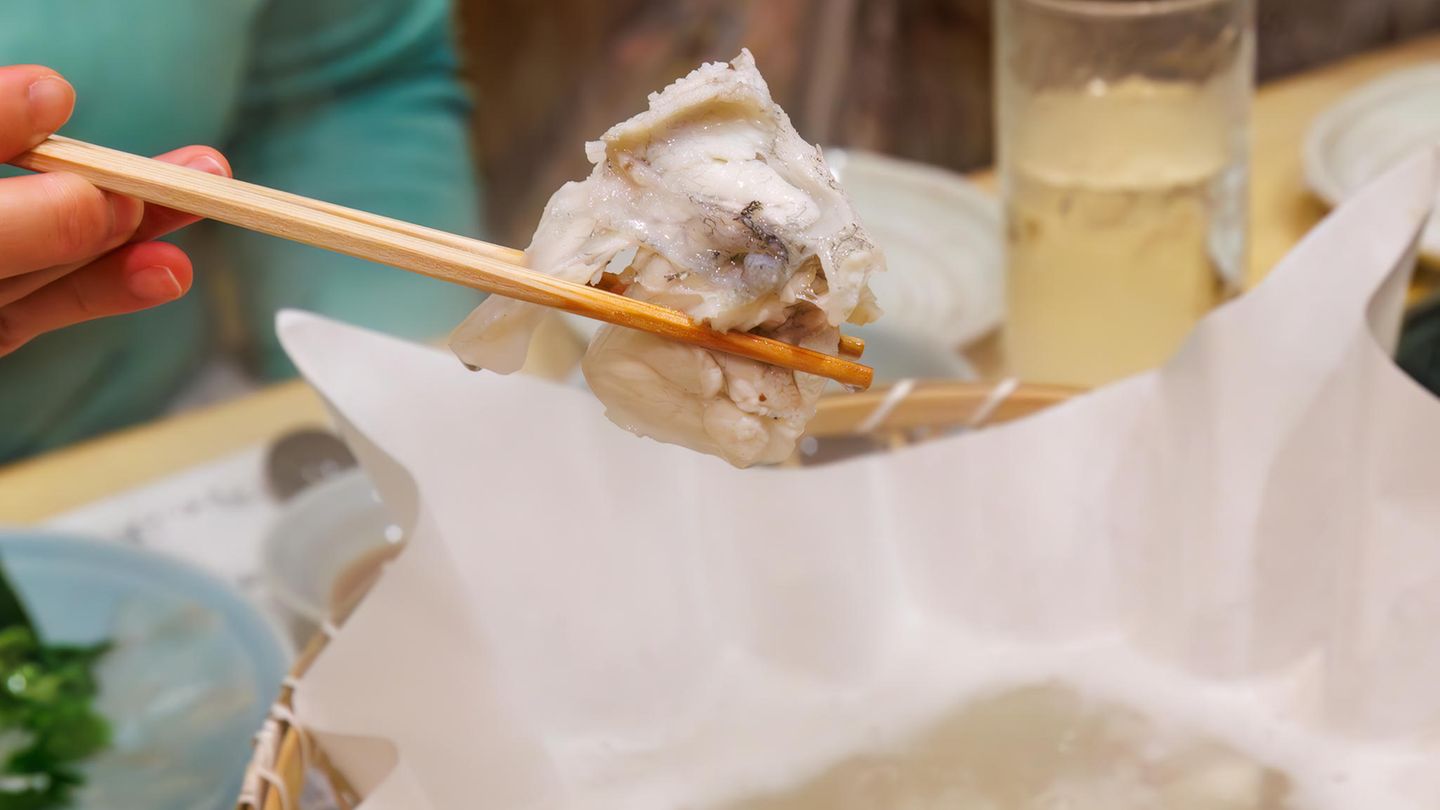 Fugu, die Delikatesse aus Kugelfischfleisch