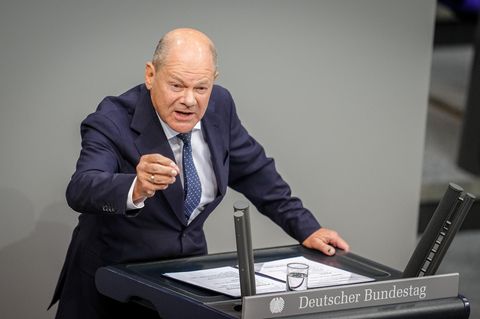 Bundeskanzler Olaf Scholz Forderungen COP29