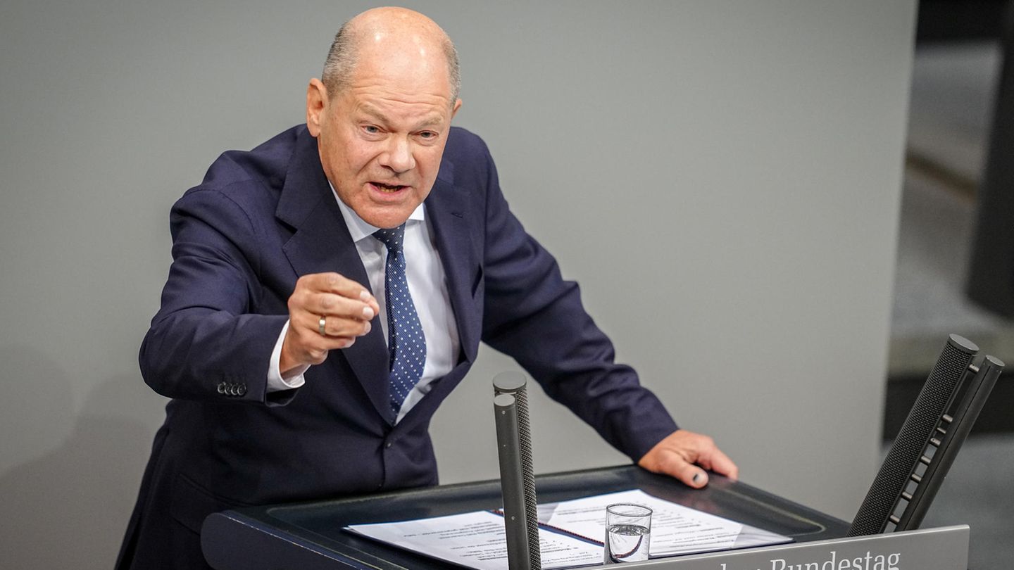 Bundeskanzler Olaf Scholz Forderungen COP29