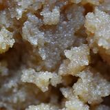 Weißer Kaviar stammt vom Albino-Stör