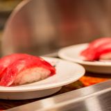 Roter Thun - der Blauflossen-Thunfisch ist vom Aussterben bedroht