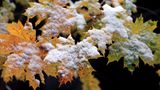 In diesen Tagen ziert nächtlicher Frost und erster Schnee die herbstlich bunten Blätter in