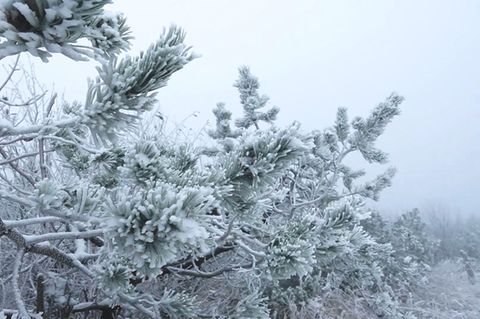 Erster Schnee