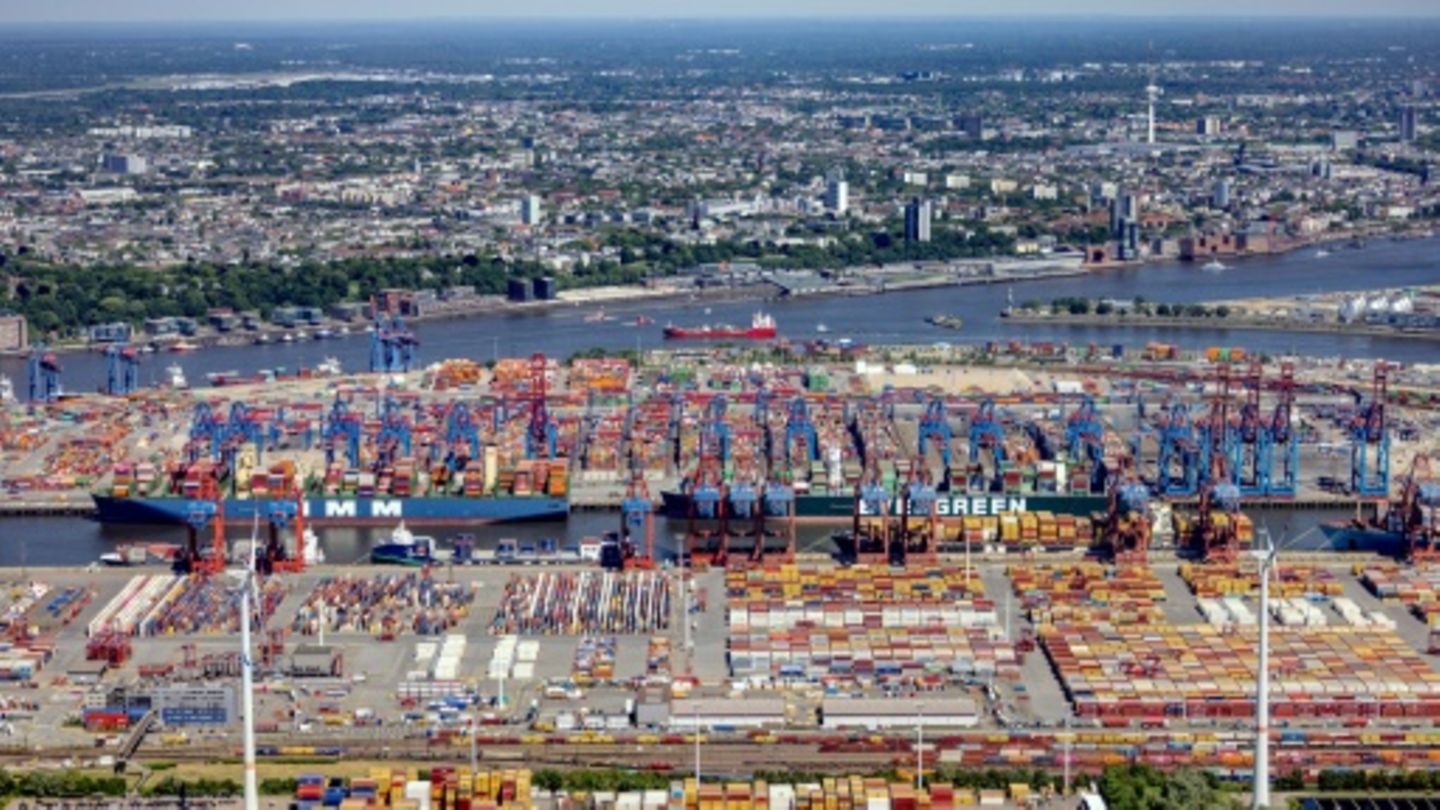 Blick über Hamburg
