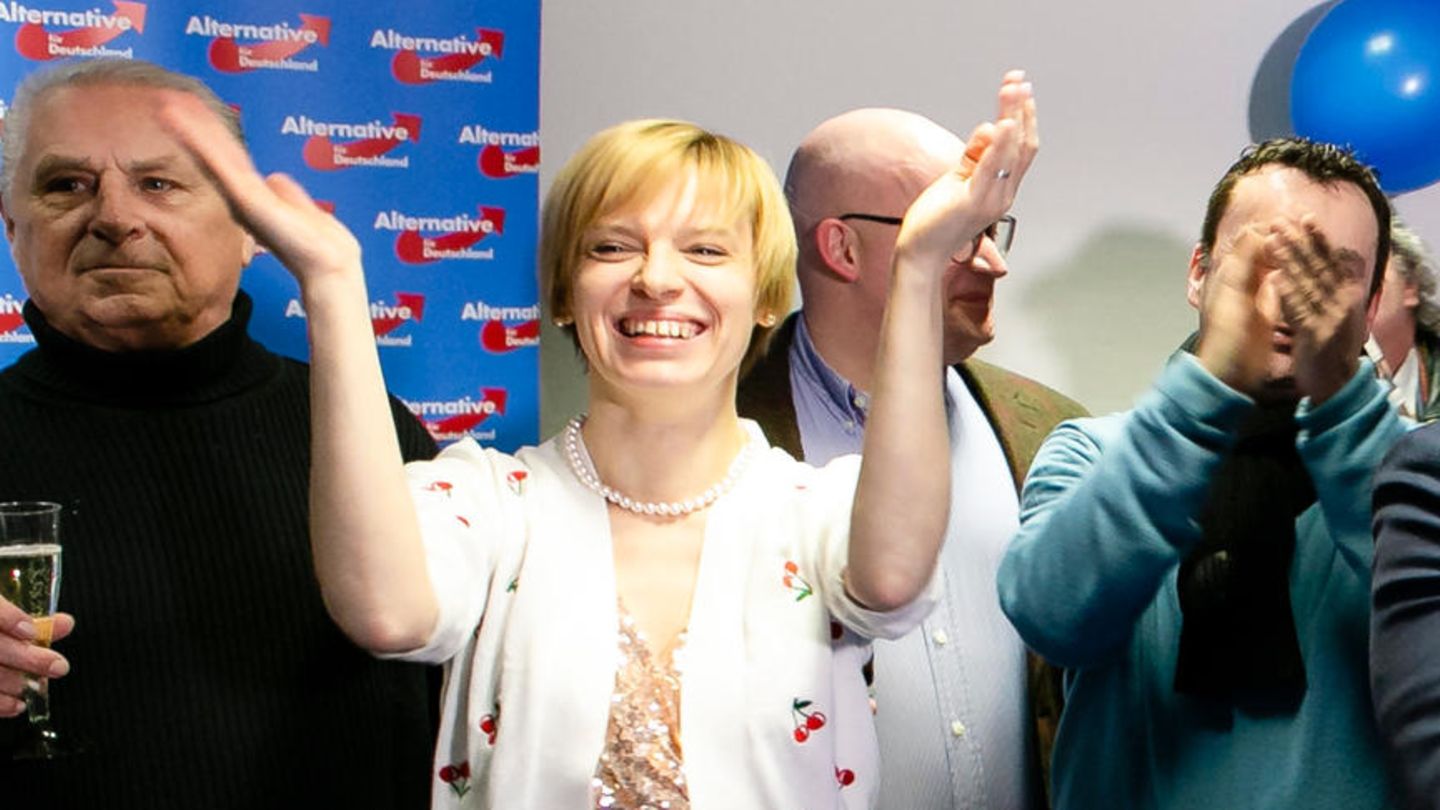 Parteiausschluss droht: Hamburger AfD-Politikerin soll in Russland wohnen, aber Diäten kassieren