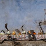 Kobras an festlichem Gelage