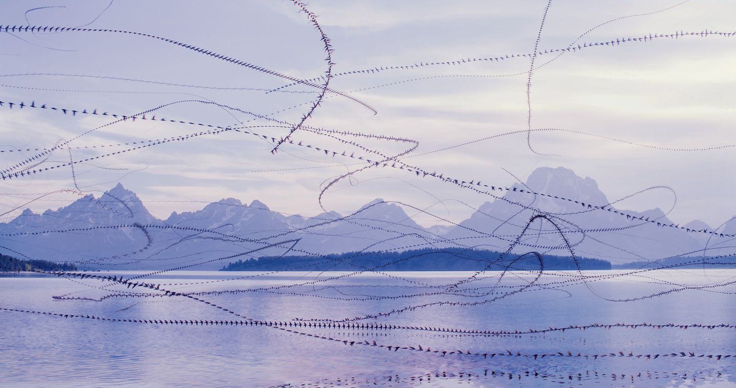 Spuren am Himmel Vogelschwärme kreuzen am Himmel