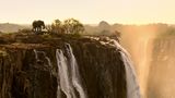 Elefant bei den Victoria-Wasserfällen