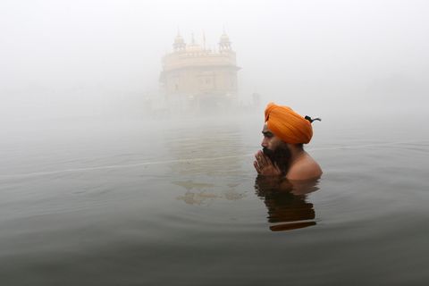 Amritsar, Indien. Ein Sikh-Anhänger betet im Teich, der den Goldenen Tempel umgibt, während er den Geburtstag des ersten Sikh-Gurus, Guru Nanak, feiert