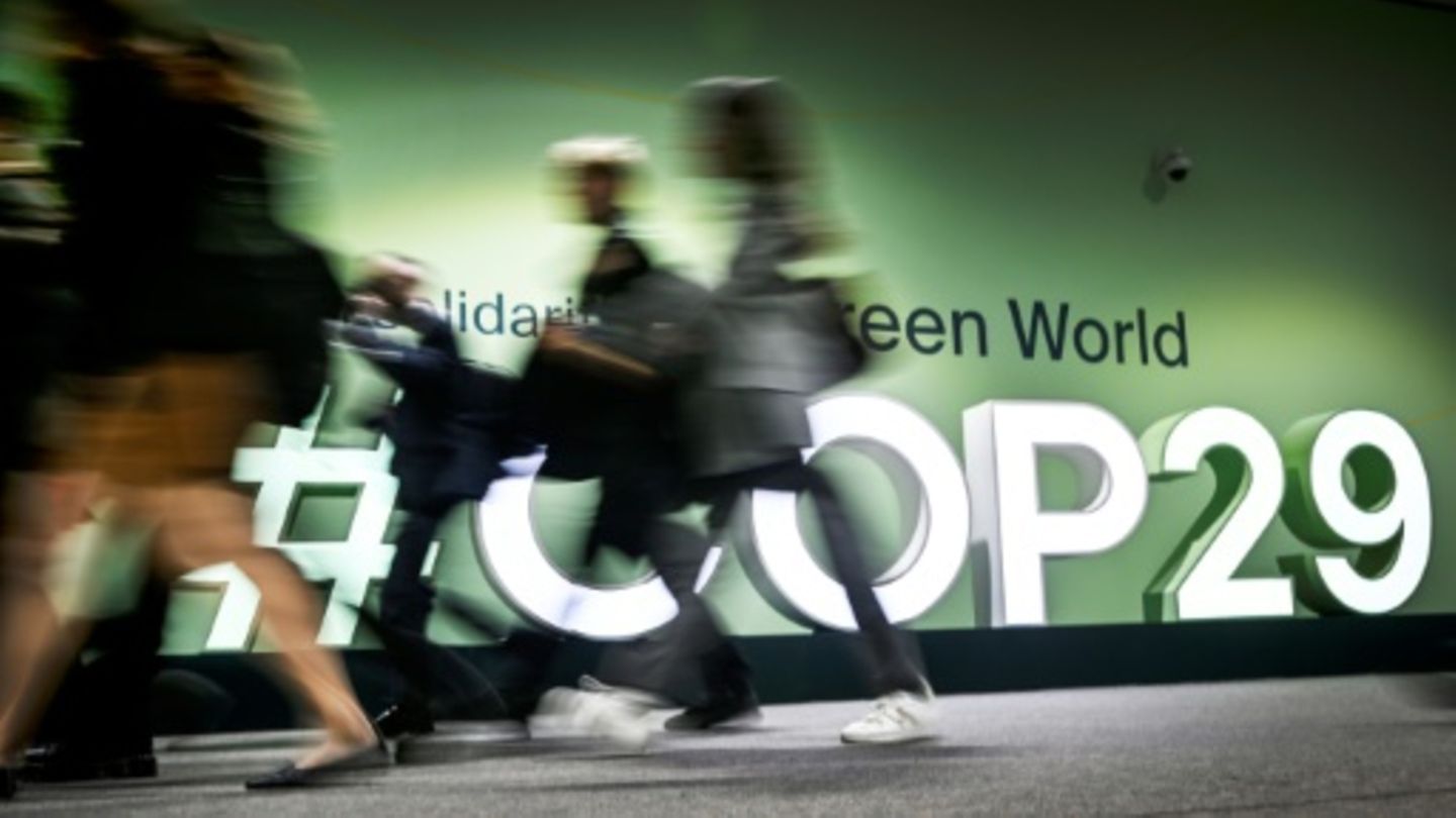 COP29