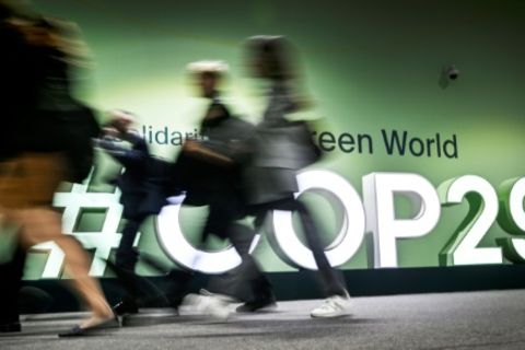 COP29