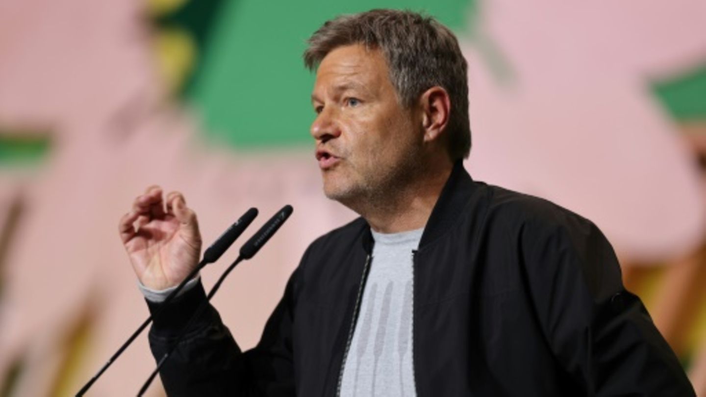 Robert Habeck auf dem Parteitag in Wiesbaden