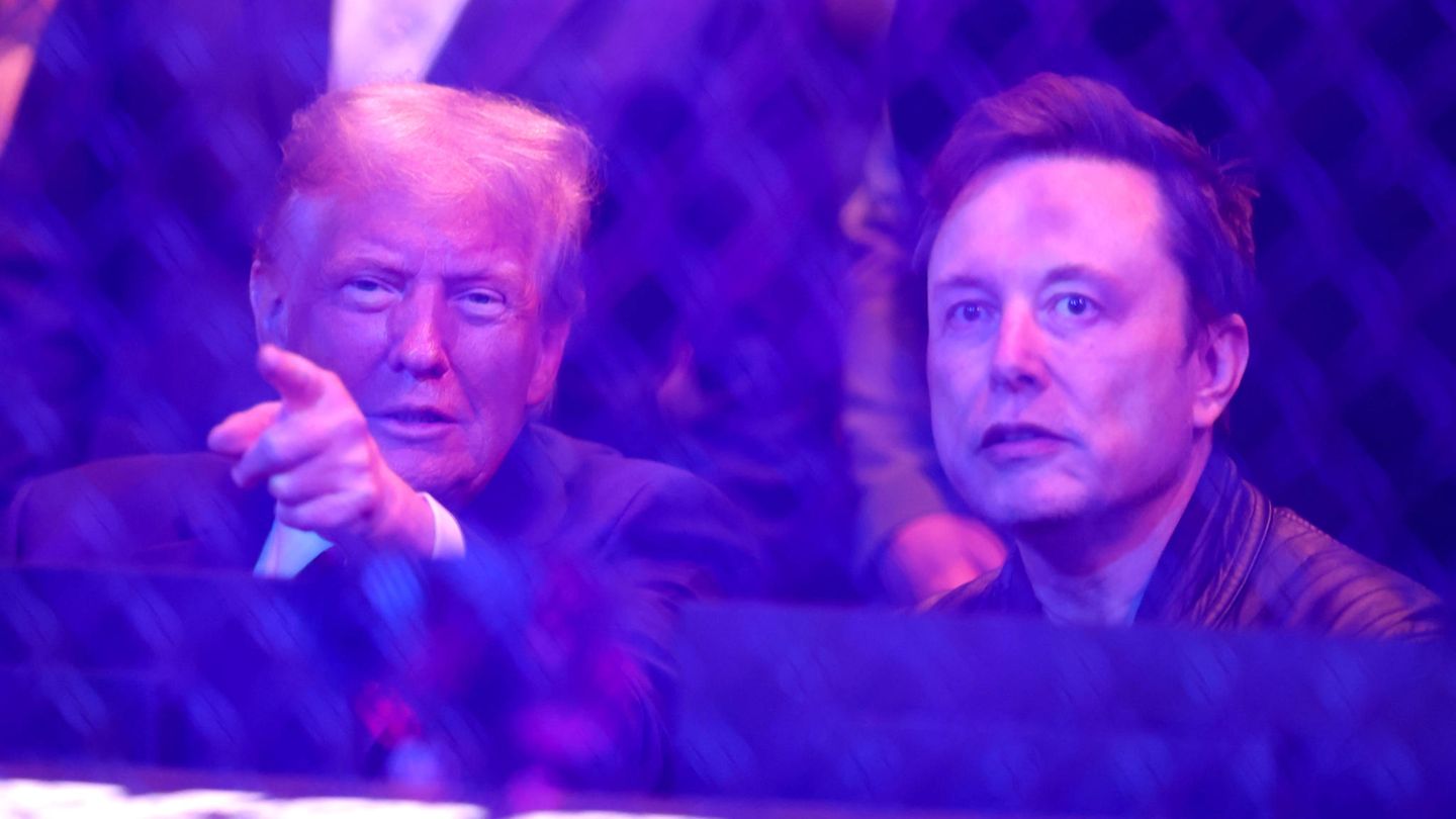 MMA-Fight in New York: Trump, Musk und Kennedy bei Käfigkampf-Veranstaltung bejubelt