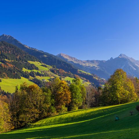 Die Region Voralberg, in der der Wanderer ums Leben kam
