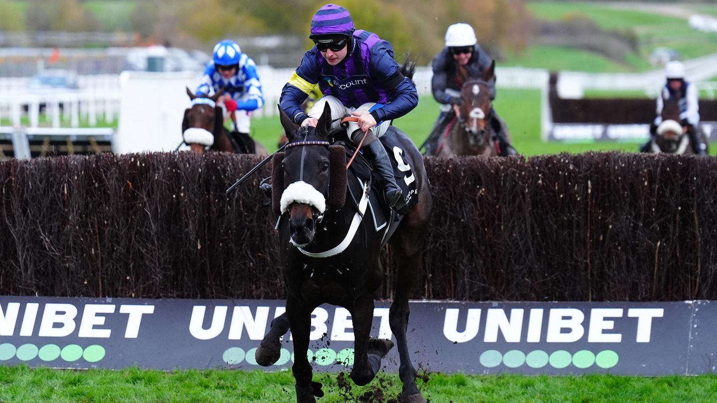 Cheltenham: Siegerpferd bricht hinter der Ziellinie zusammen und stirbt