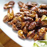 Seltsamste Lebensmittel: Beondegi