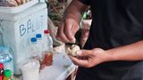 Seltsamste Lebensmittel: Entenembryo vom Streetfoodstand